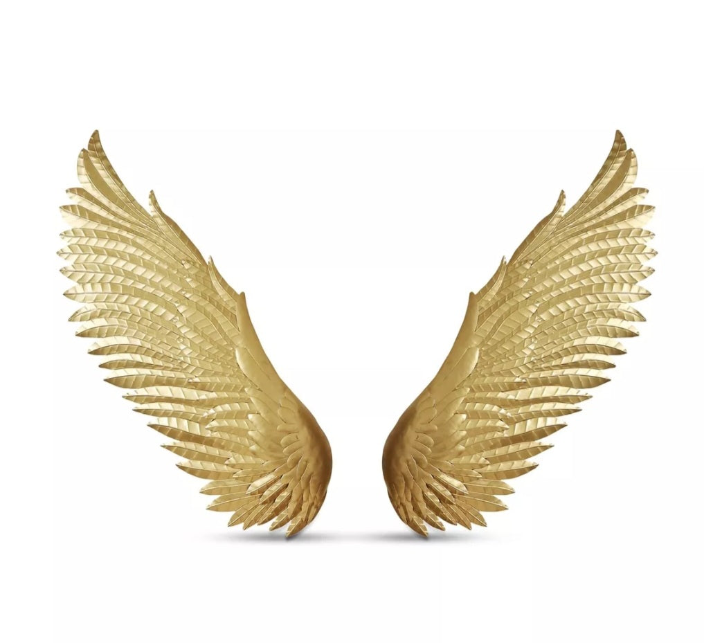 Moe's Designer Gold Iron Metal Wing Wall Decor New Modern Contemporary Home Quality Angel